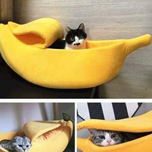 Cat Large Banana Bed - New Boutique Item